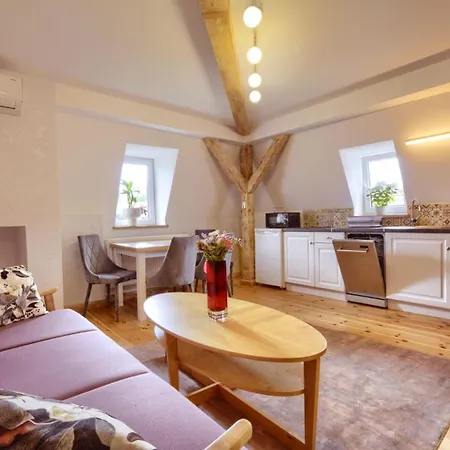 Sloneczna & Sauny Willa *