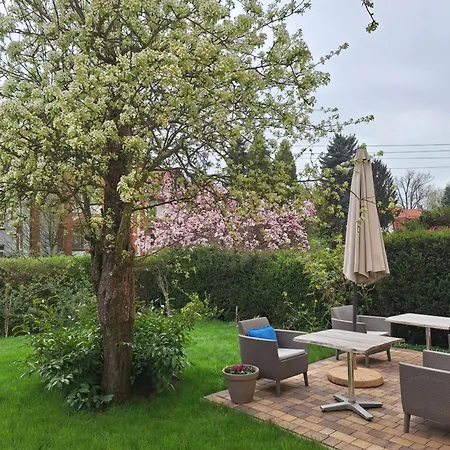 Villa Sloneczna & Sauny Kudowa-Zdrój