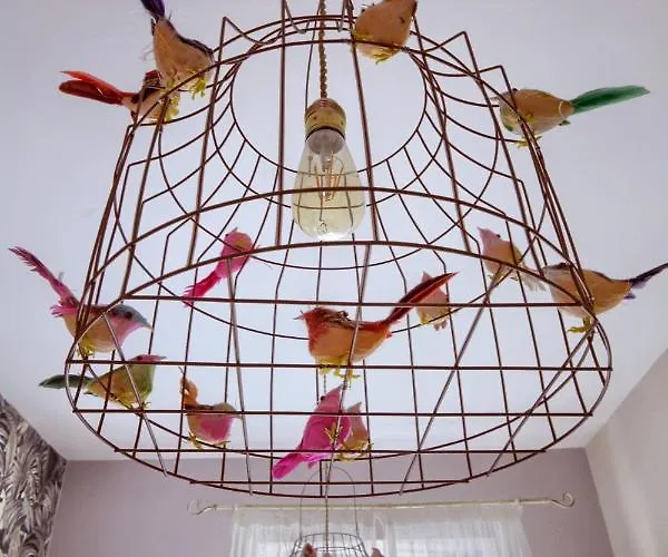 Vila Sloneczna & Sauny *